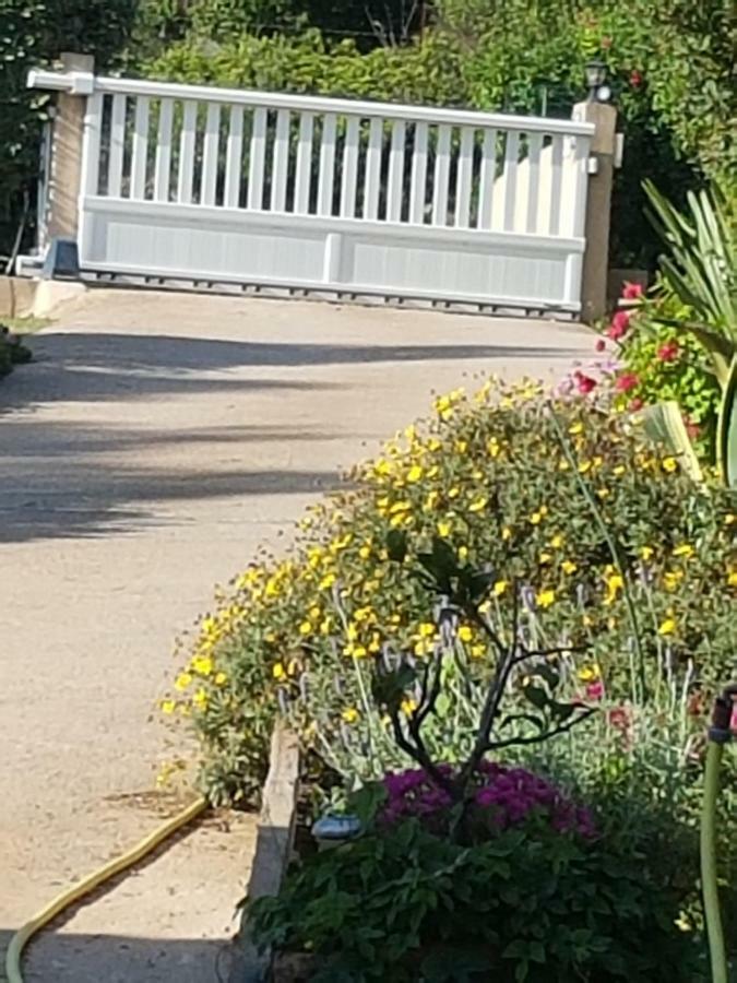 Apartament Casa Prescilia Lumio  Zewnętrze zdjęcie